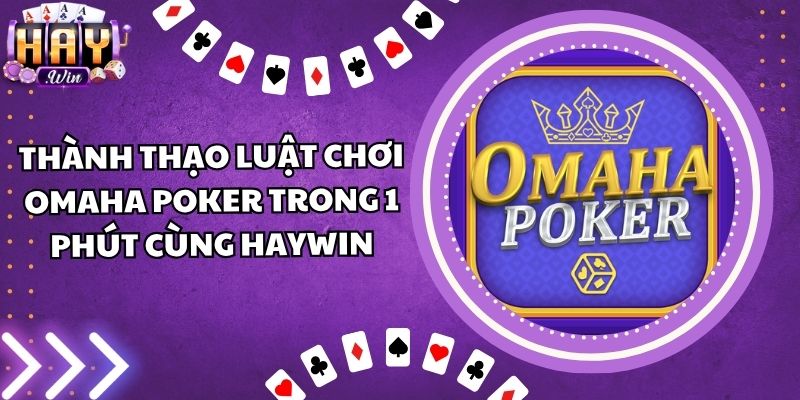 Thành Thạo Luật Chơi Omaha Poker Trong 1 Phút Cùng Haywin